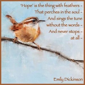 Meet your Posher, Shelly